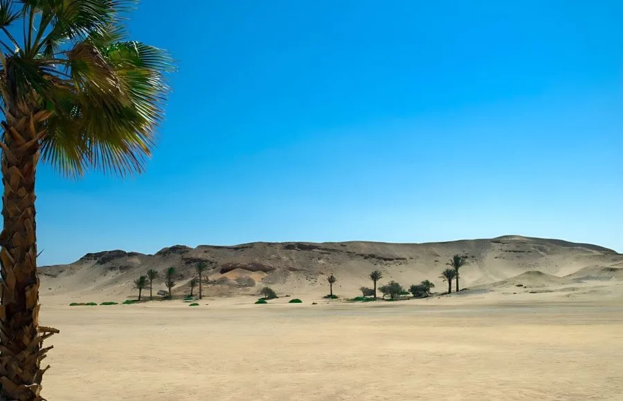 Desert-Marsa-Alam-Red-Sea-Egypt