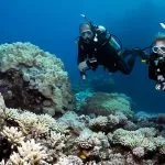 Diving-over-intact-coral-reef