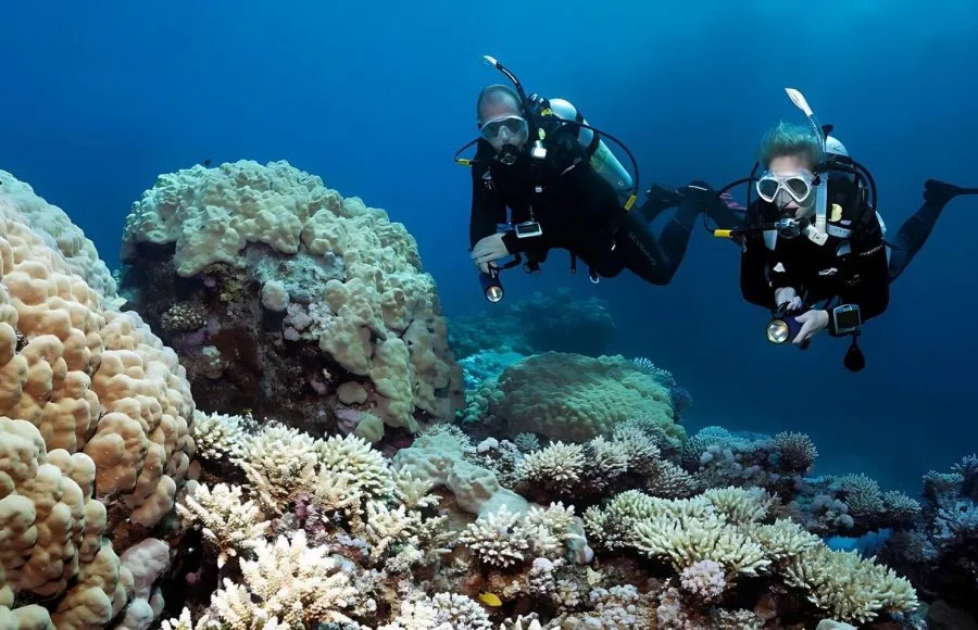 Diving-over-intact-coral-reef