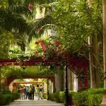 Egypt-Aswan-Botanical-Garden-On-The-Kitchener-Island