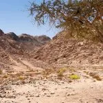 Egypt-Sinai-Sharm-El-Sheikh-Desert