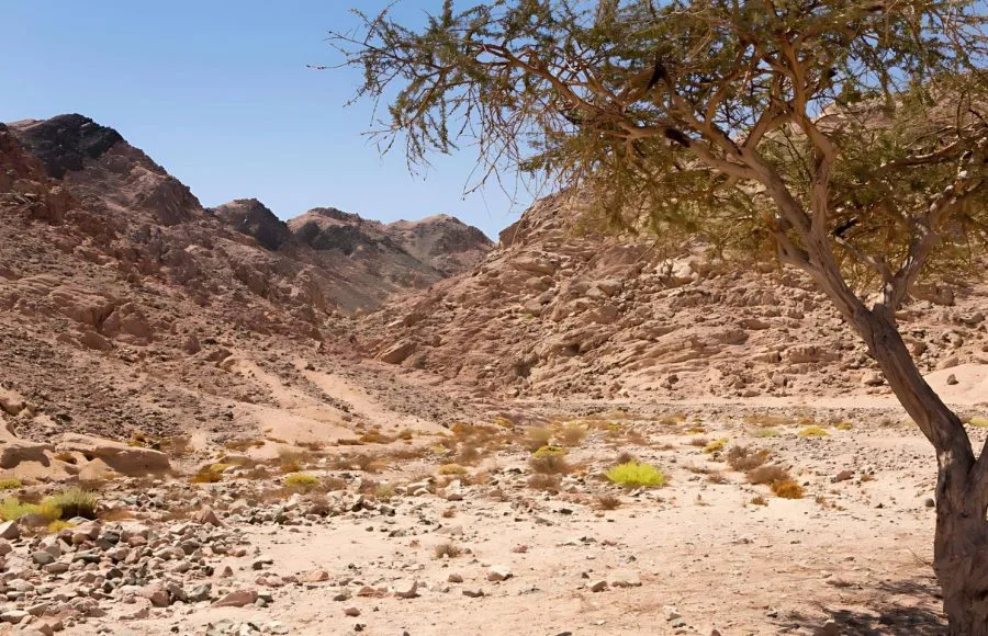 Egypt-Sinai-Sharm-El-Sheikh-Desert