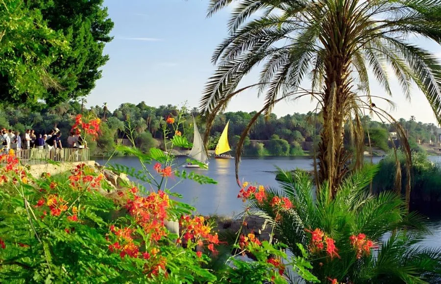 Elephantine-Island-In-Aswan-Egypt