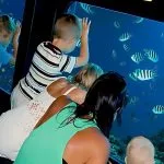 Family-in-semi-Submarine-Trip