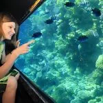 Tourist excitedly pointing at tropical fish and vibrant coral visible through the large window of a Red Sea semi-submarine tour.