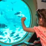 Girl-in-Sindbad-Submarine-Hurghada