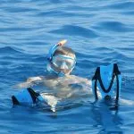 Image-of-a-man-snorkeling-in-the-sea-Sharm-el-Sheikh