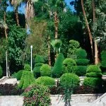 Kitcheners-Garden-in-Botanic-Gardens-Aswan-Egypt