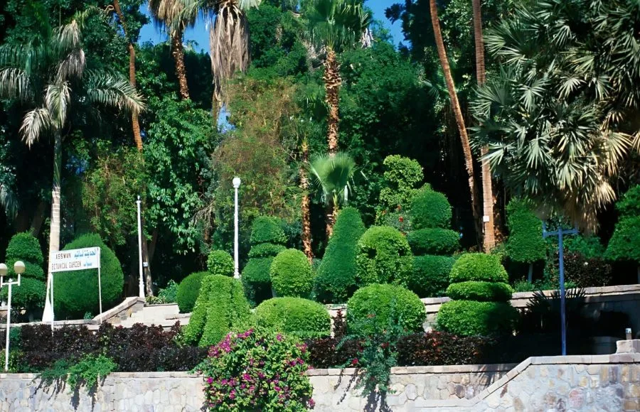 Kitcheners-Garden-in-Botanic-Gardens-Aswan-Egypt