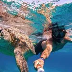 Man-snorkeling-with-big-adult-green-sea-turtle-in-blue-water-Marsa-Alam