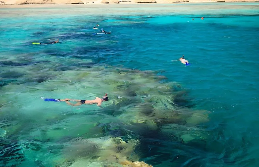 People-snorkeling-in-a-beautiful-coral-reef-near-Port-Ghalib-Marsa-Alam
