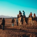 Popular-Tourist-Attraction-Of-Camel-Riding-In-The-Bedouin-Village