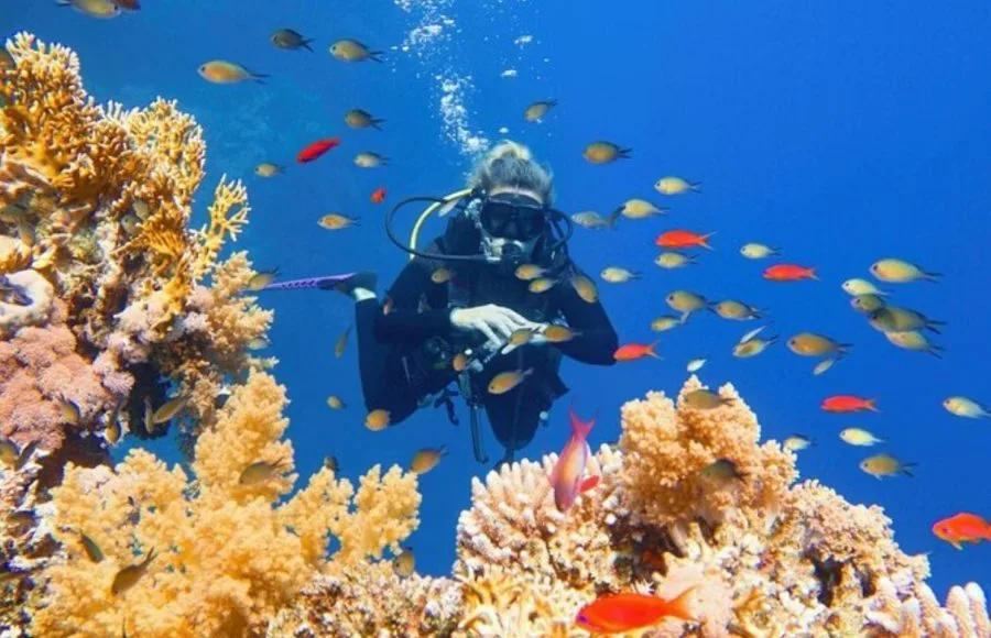 Scuba-Diving-Hurghada