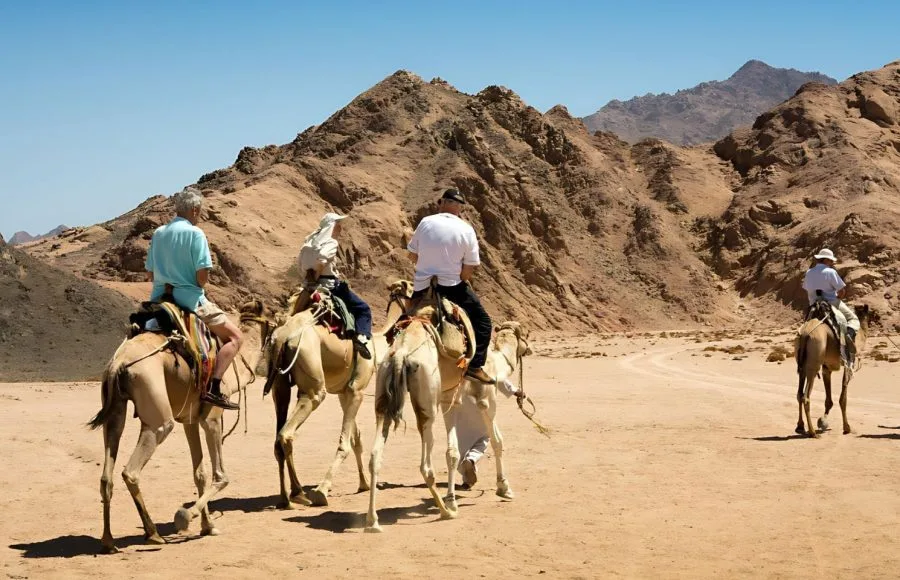 Sharm-el-Sheikh-tourists-enjoying-camel-ride