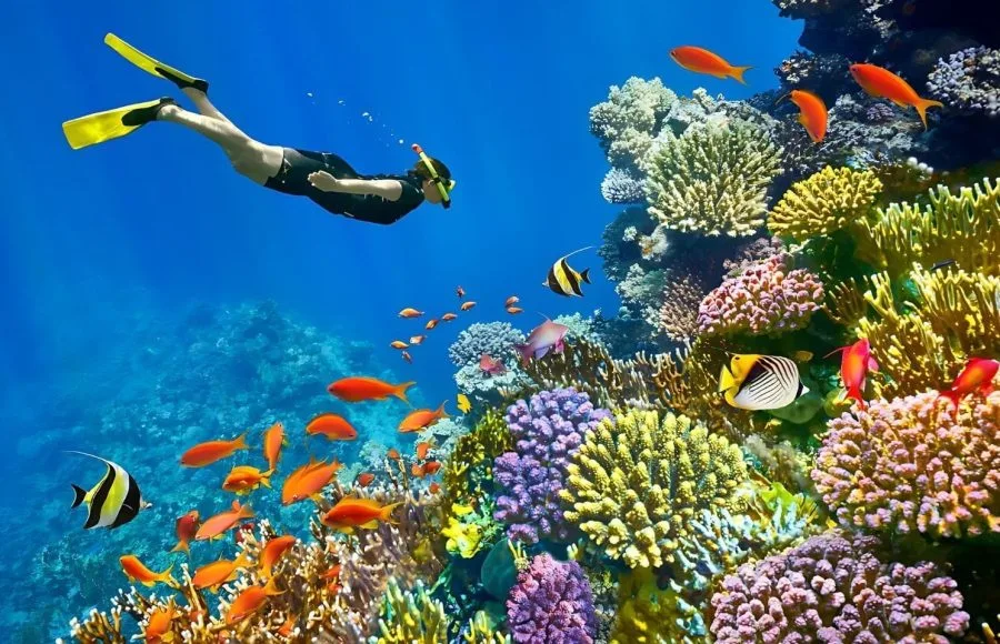 Snorkeling-Hurghada-Red-Sea-Blue-Deep-Tripidays-Egypt-TOurs-