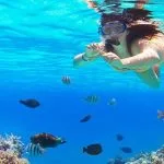 Snorkeling-in-Paradise-Island-Hurghada