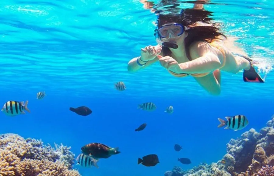 Snorkeling-in-Paradise-Island-Hurghada