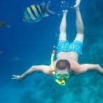 Snorkeling-in-Sharm-El-Sheikh