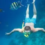 Snorkeling-in-Sharm-El-Sheikh