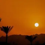 Sunset-Behind-The-Mountain-Against-The-Background-Of-Palm-Trees-In-Egypt-Sharm-El-Sheikh