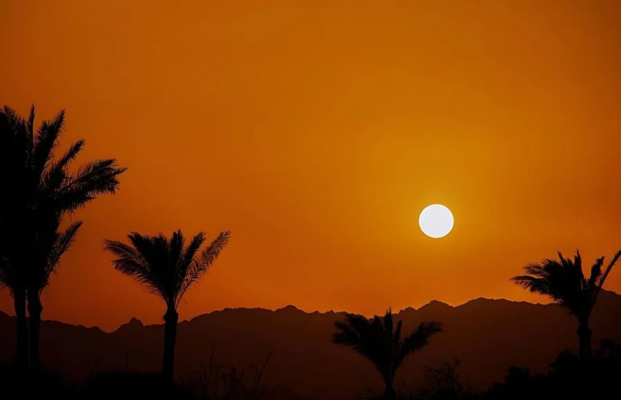 Sunset-Behind-The-Mountain-Against-The-Background-Of-Palm-Trees-In-Egypt-Sharm-El-Sheikh