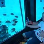 Tourist-taking-photo-to-man-snorkeling-semi-submarine-in-sharm-el-sheikh