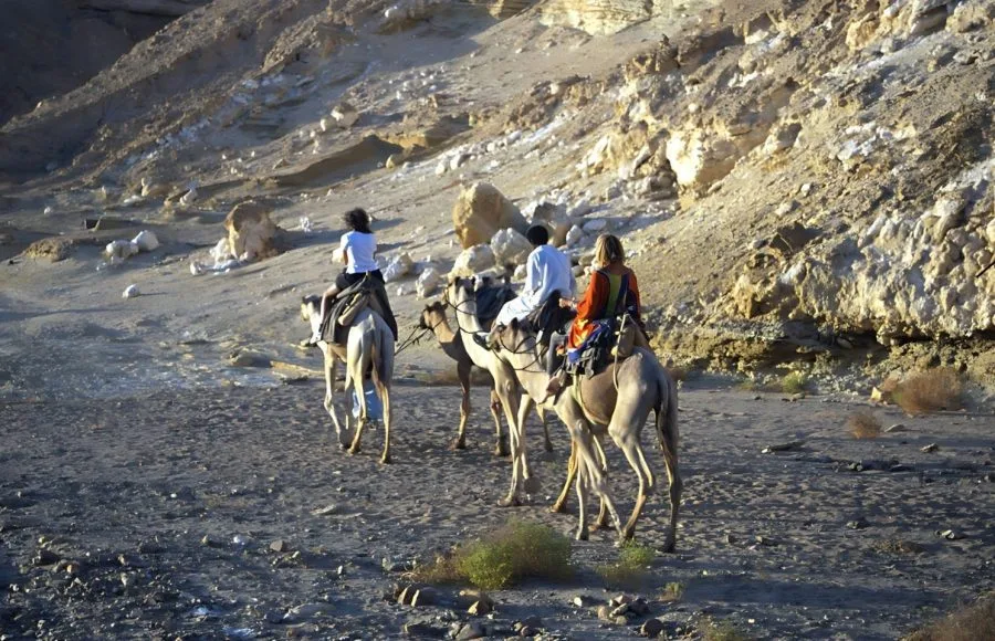 Tourists-And-Camels-In-The-Desert-Near-Marsa-Alam-Red-Sea-Egypt