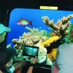 Tourists-Inside-Sindbad-Submarine-Hurghada