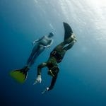 Two-Free-Divers-Have-Fun-In-The-Depth-Of-Red-Sea