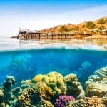 Underwater-View-Coral-Reef-Dahab-Red-Sea-Egypt