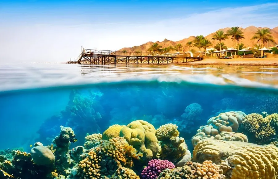 Underwater-View-Coral-Reef-Dahab-Red-Sea-Egypt