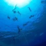 Underwater-View-Of-The-Group-Of-Freedivers-Which-Made-The-Training-In-The-Blue-Hole-Egypt
