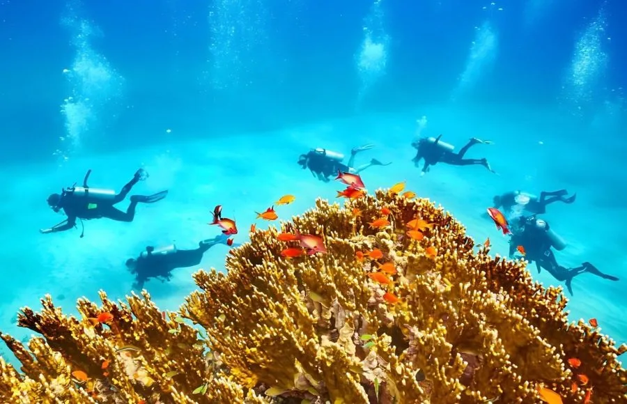 Underwater-view-at-scuba-divers-and-the-reef-Marsa-Alam