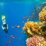 Woman-Snorkeling-Coral-Reef-Blue-Hole-Near-Dahab