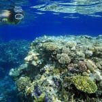 Woman-Snorkeling-Explores-Coral-Reef