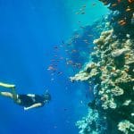 Woman-Snorkeling-Underwater-Coral-Reef-Blue-Hole-Dahab