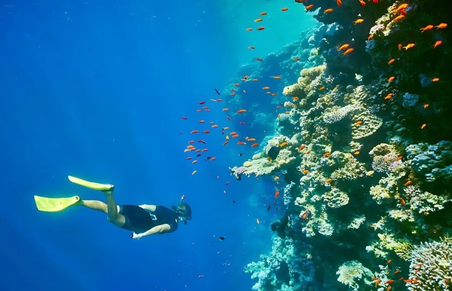 Woman-Snorkeling-Underwater-Coral-Reef-Blue-Hole-Dahab