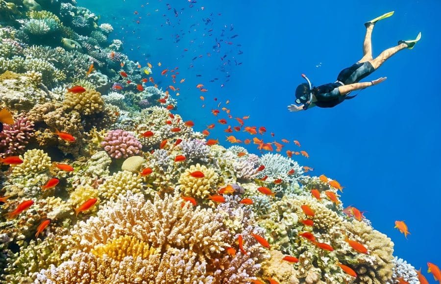 Woman-Snorkeling-Underwater-Coral-Reef-Blue-Hole-Near-Dahab