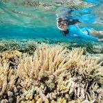 Woman-snorkeling-over-a-coral-reef-that-is-reflected-on-the-surface-in