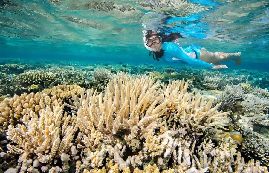 Woman-snorkeling-over-a-coral-reef-that-is-reflected-on-the-surface-in