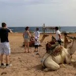 tourists-next-to-Camels-before-the-ride-on-the-desert