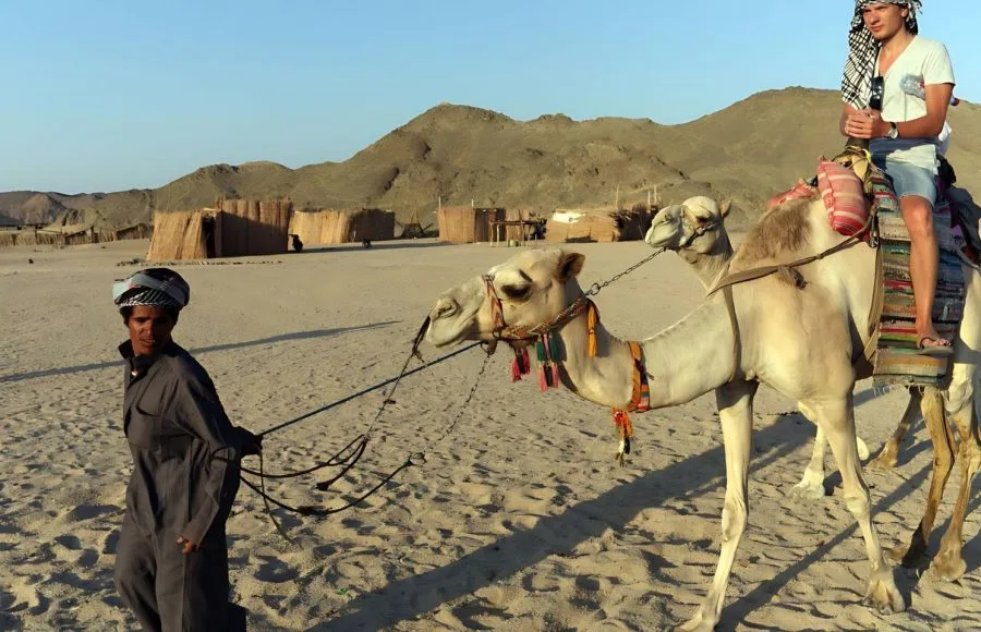 Bedouin-Guide-Leads-Tourists-Riding-Camels-In-Desert
