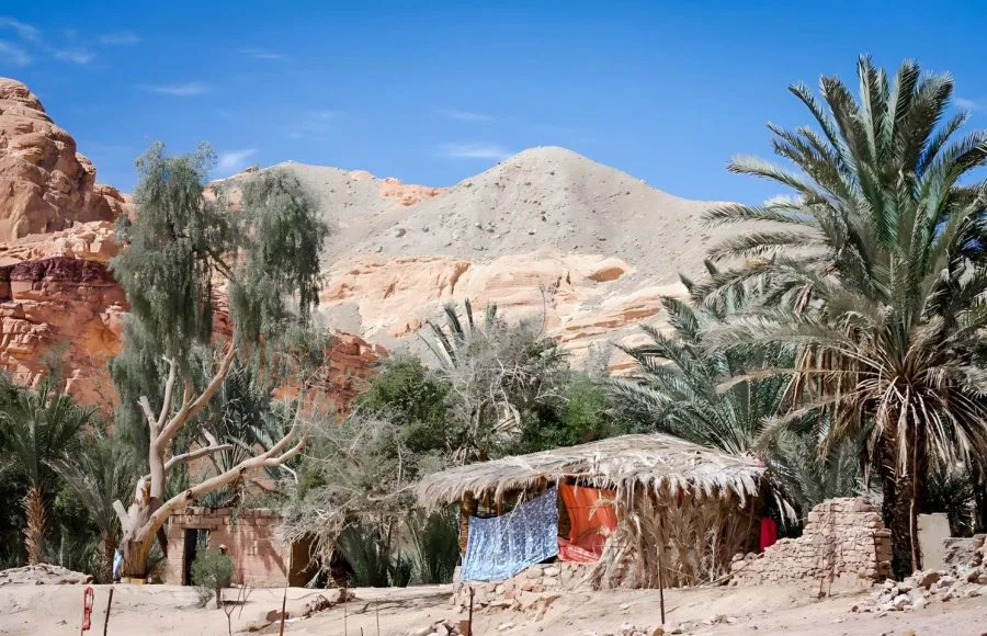 Bedouin-Village-In-An-Oasis-In-The-Desert-Among-The-Mountains-In-Egypt-Dahab-South-Sinai