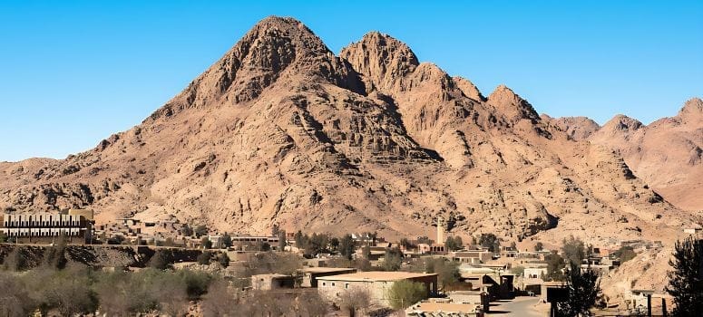 Bedouin Dinner and Safari Trip