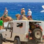 Camel-Safari-ride-Dahab-Sinai