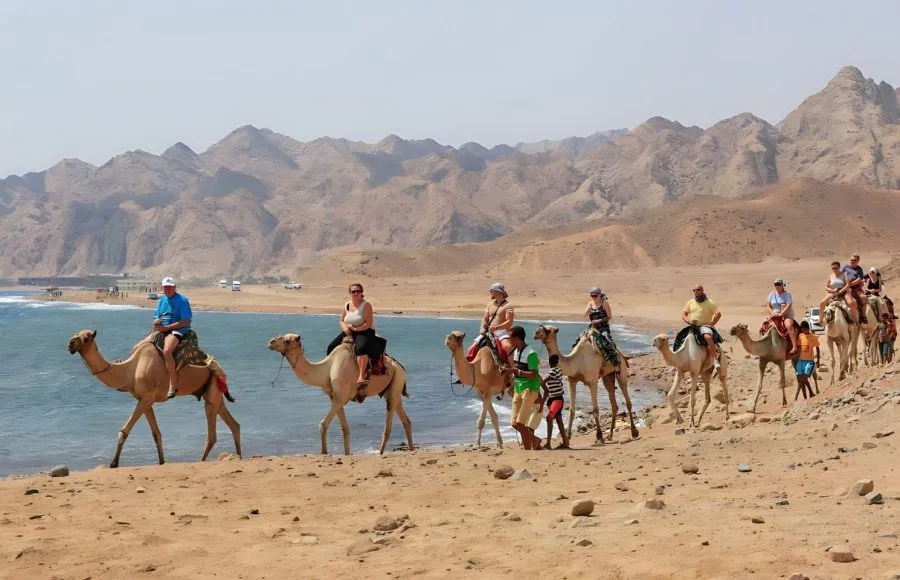 Camel-ride-in-Dahab