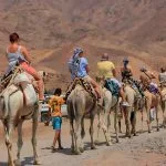 Group-of-Tourists-Camel-safari-ride-in-Dahab