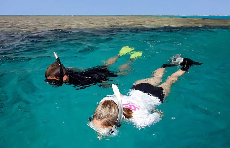 Man-Woman-snorkeling-Coral-Reef-Red-Sea-safaga