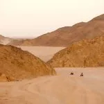 Quad-Biking-In-Eastern-Desert-At-Sunset-Safaga