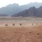 Quad-bikers-in-the-Sinai-Desert
